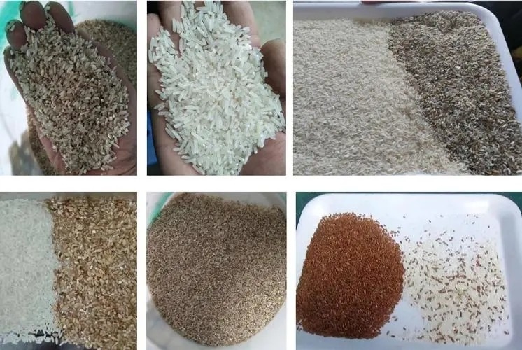 Κόκκινος άσπρος Quinoa οπτικός πολυ λειτουργικός διαλογέων χρώματος με τη κάμερα Toshiba CCD