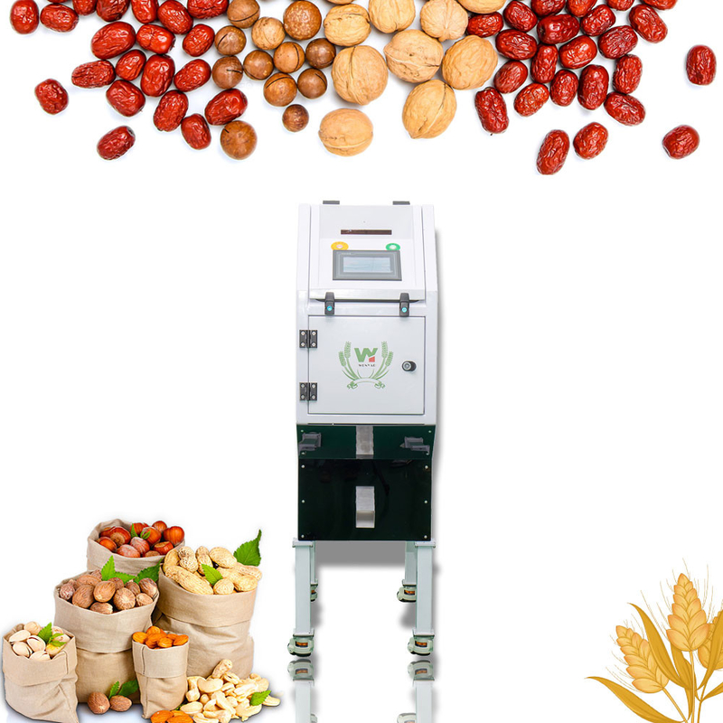 Αυτόματος μίνι διαλογέας χρώματος για Macadamia το καρύδι τιγρών