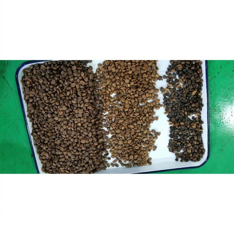 Automatic Beans Color Sorter Μηχάνημα ταξινόμησης κόκκων καφέ Πολυλειτουργικός διαχωριστής για φακές σόγιας Ρεβύθια