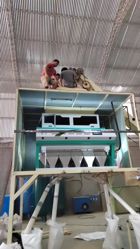 HDPE Wenyao LDPE PP πλαστική μηχανή 99,9% διαλογέων χρώματος ABS ακρίβεια