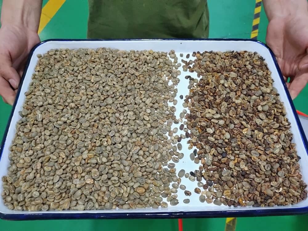 Wenyao Διαλογέας Χρώματος Υψηλής Ακρίβειας Φασόλια Σιτηρά Δημητριακά Σιτάρι Καλαμπόκι Σπόροι Τσαγιού Ξηροί Καρποί Διαλογέας Χρώματος Wifi Remote