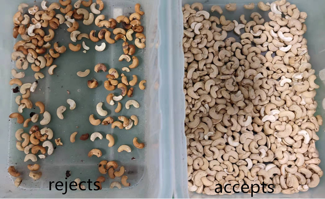 Ευφυής Macadamia αμυγδάλων των δυτικών ανακαρδίων CCD διαλογέας χρώματος οπτικός