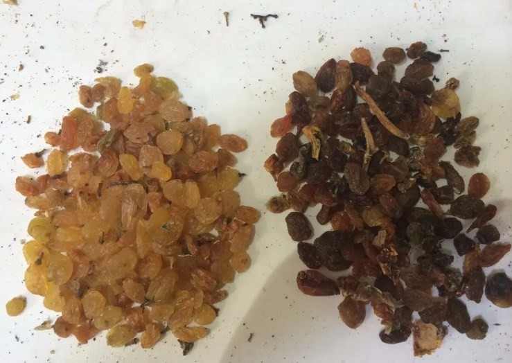 Ευφυής Macadamia αμυγδάλων των δυτικών ανακαρδίων CCD διαλογέας χρώματος οπτικός