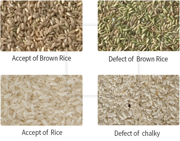 Τεχνική συσκευή διαχωρισμού χρωμάτων CCD Camera Grain Rice Soybean Color Sorter για τη γεωργία