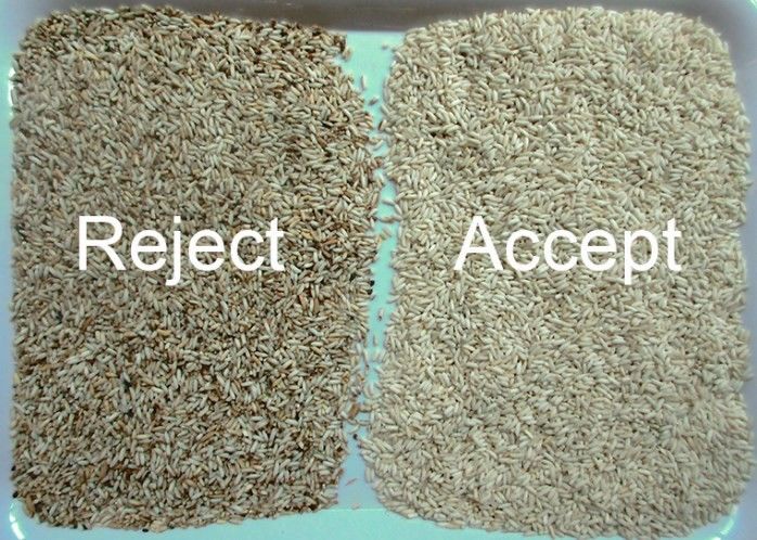 WENYAO Τεχνική διαλογή Πολυχρωματική ανίχνευση για τις εργασίες διαλογής ρυζιού Μηχανή διαλογής χρώματος Πυροβόλο ρύζι μακρύ σπόρο