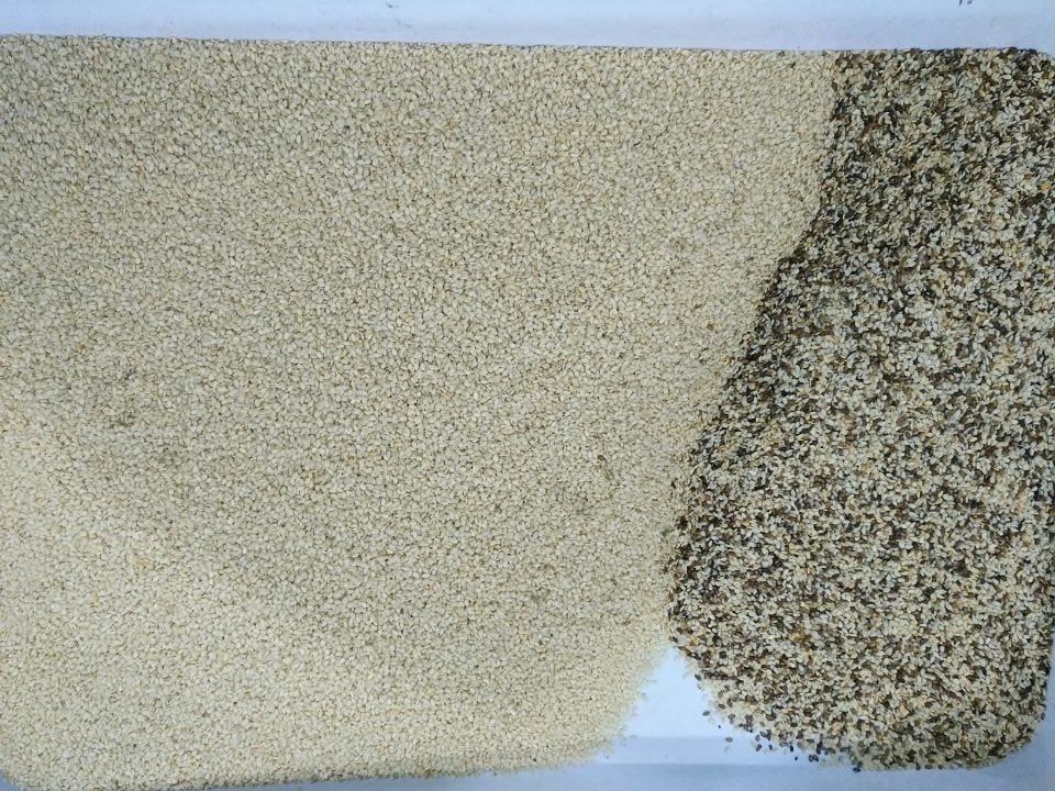 Μηχανή διαλογής χρώματος κόκκων 1 - 4t/h