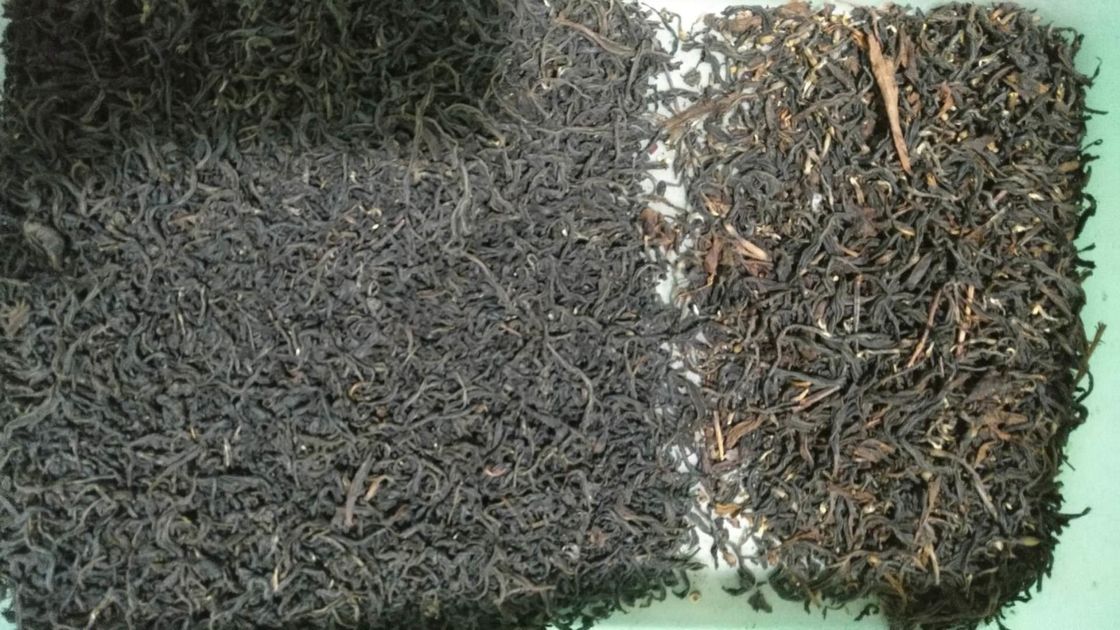 Μηχανή διαλογής χρώματος τσαγιού διπλού σταδίου 1 για την αφαίρεση φύλλων και κλαδιών