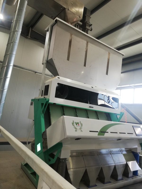 5 Moldy διαλογέας χρώματος σίτου υδατοπτώσεων, μηχανή διαλογέων για το σίτο για την αφαίρεση του σίτου ωιδίου