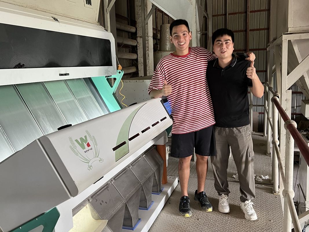 5 Moldy διαλογέας χρώματος σίτου υδατοπτώσεων, μηχανή διαλογέων για το σίτο για την αφαίρεση του σίτου ωιδίου