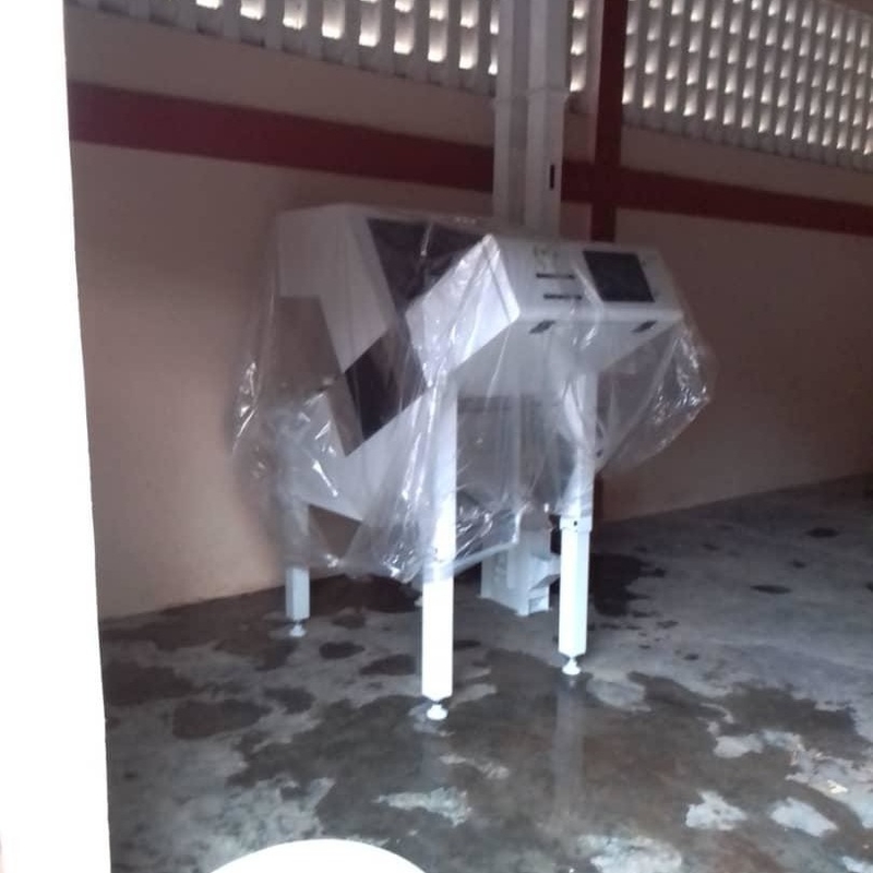 Wenyao Ευφυής οπτική διαλογή χρωμάτων Διαλογή χρωμάτων ρυζιού