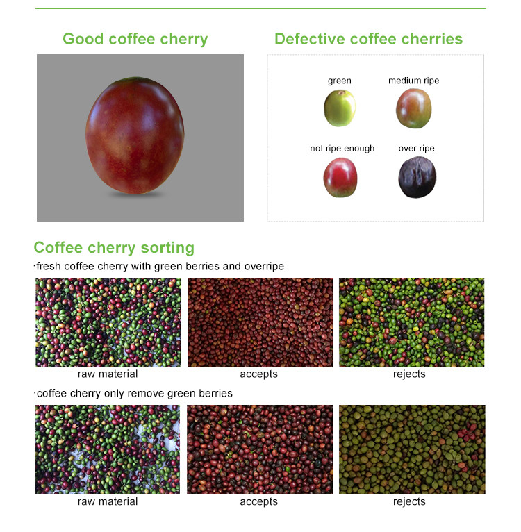 Μίνι Ζώνη Cranberry Blueberry Color Sorter High Coffee Cherry Color Sorter Μηχανή Διαλογής