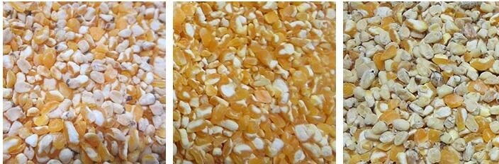 320 κανάλια Οπτικός διαλογιστής χρωμάτων CCD για σταφίδες με πιστοποίηση CE
