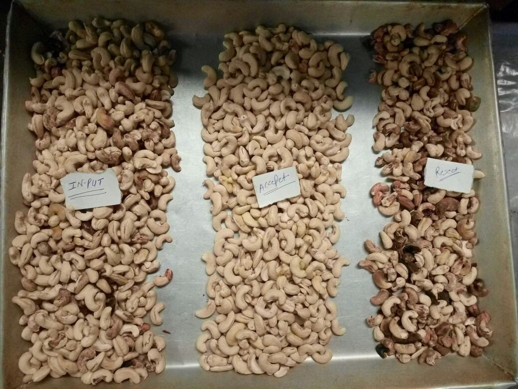 Wenyao Macadamia Color Sorter Nuts Color Selector Machine Μηχανή διαλογής καρύδων
