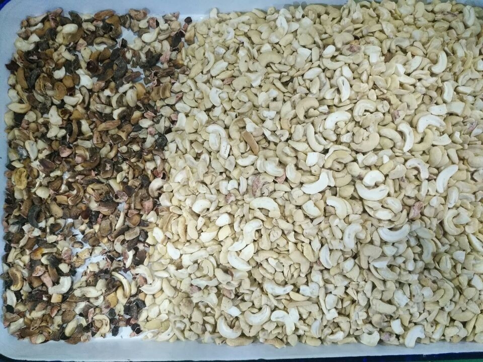Wenyao Macadamia Color Sorter Nuts Color Selector Machine Μηχανή διαλογής καρύδων