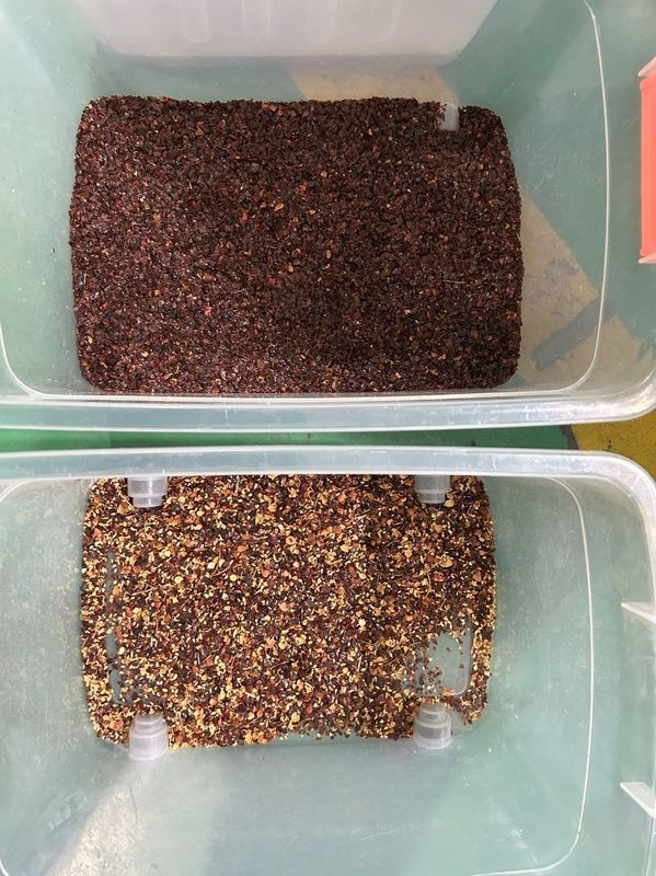 Αυτόματη μηχανή διαλογής κόκκων καφέ από την Κίνα