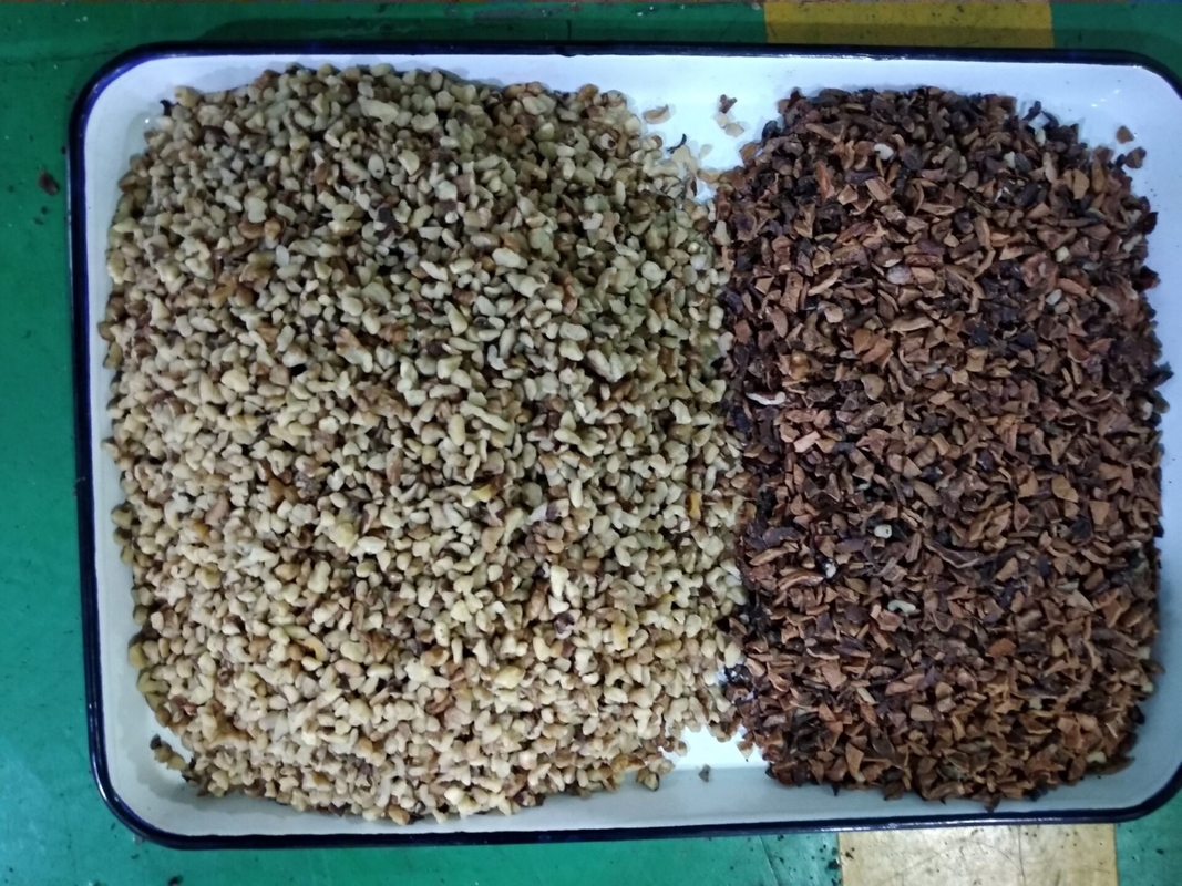 Wenyao 2 Chutes Walnut Color Sorter Machine Μέγεθος Σχήμα Διαλογή με πιστοποιητικό CE