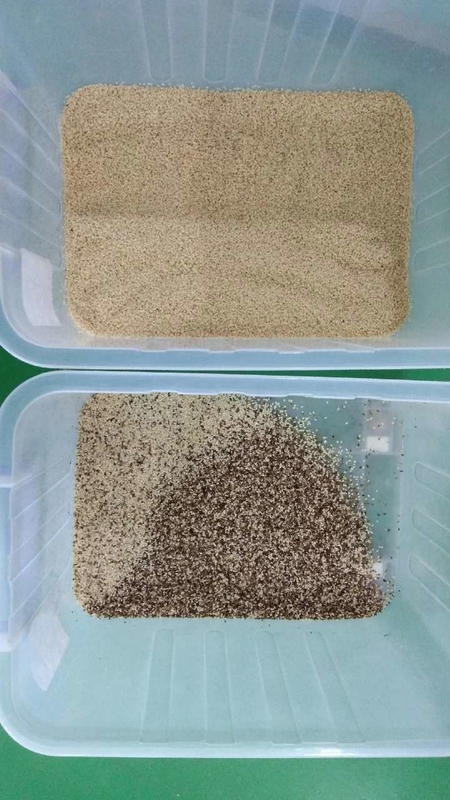 Wenyao 500-1500kg/h Καφέ κόκκοι ρύζι Garin χρώμα Οπτική ταξινόμηση Σίριαλ χρώμα μηχανή ταξινόμησης