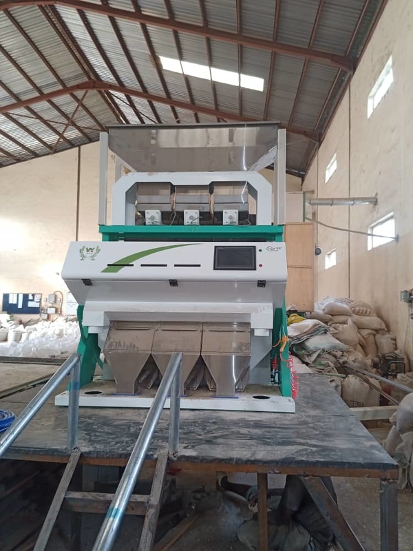Χρώμα Wenyao Hazelnut Color Sorter CCD Camera Nuts Εξοπλισμός διαλογής χρωμάτων