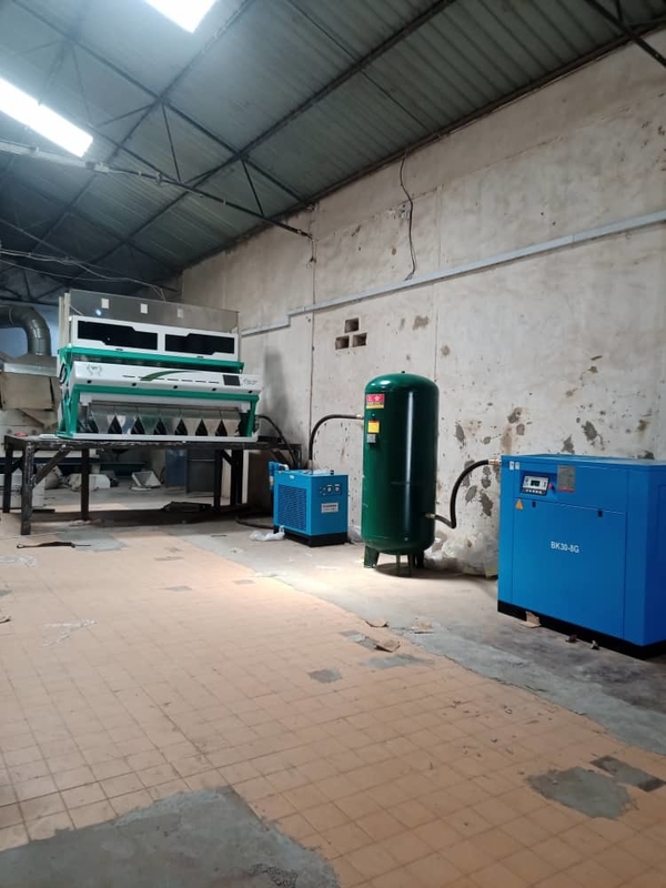 Wenyao Hazelnut Color Sorter Nuts Color Sorting Machine (Μηχανή διαλογής χρώματος με καρύδια)