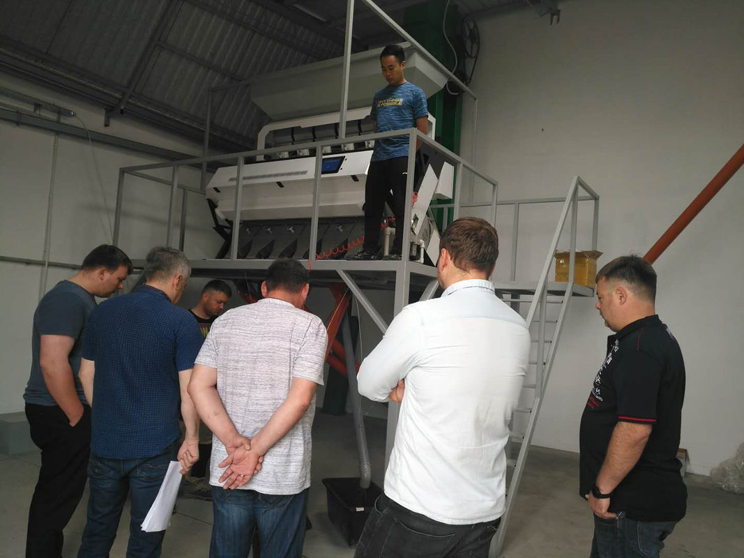 Μηχανή διαλογής ρυζιού χρώματος Wenyao 3700W