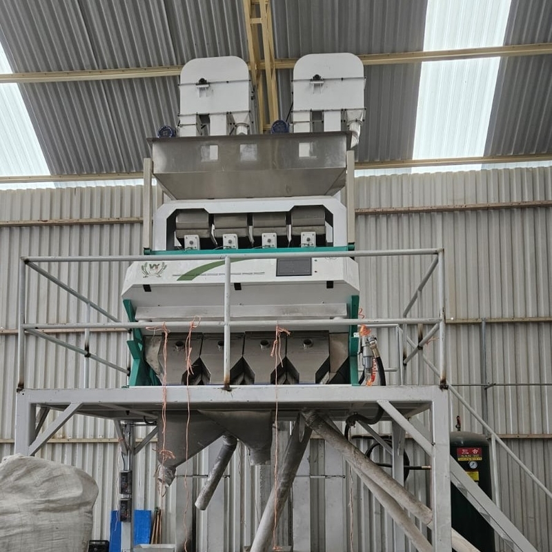 Wenyao Κινέζικο εργοστάσιο άμεση πώληση Color Sorter Πολυλειτουργία Νεφρική φασόλια Color Sorting Machine