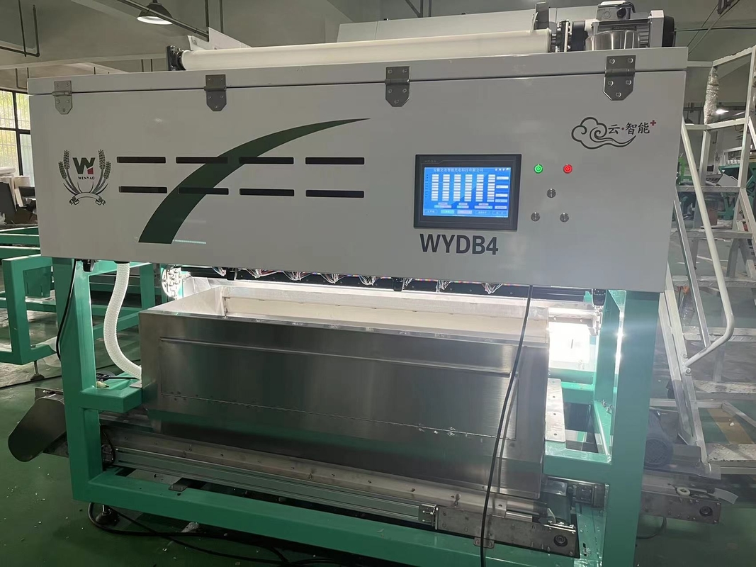 Wenyao Strawberry Color Sorter Intelligent Belt Color Sorting Machine για καφέ με κατεψυγμένα φρούτα κεράσι βατόμουρο φράουλα