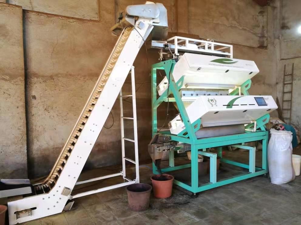 Μαύρο πράσινο τσάι χρώμα Sorter τσάι οπτική μηχανή ταξινόμησης για την επεξεργασία του τσαγιού
