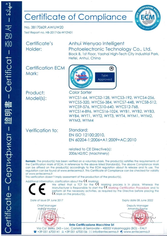 Wenyao Intelligent Οπτική CCD κάμερα PET PP PLA πλαστική μηχανή διαλογής χρωμάτων