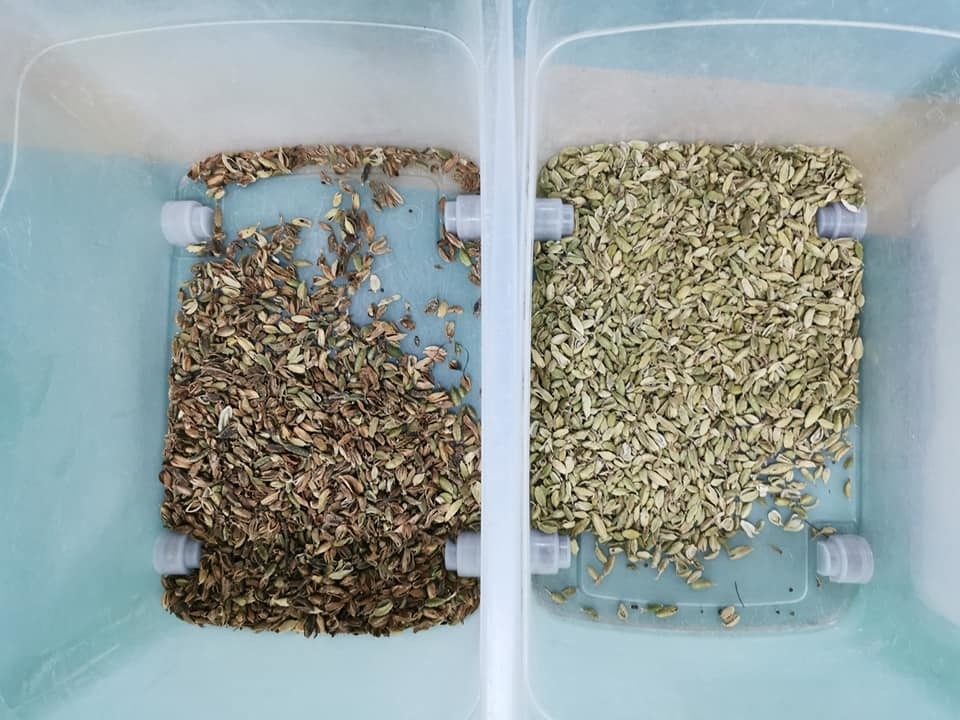 Wenyao 64 κανάλια Οπτική φασολιών διαλογιστής CCD Lupins χρώμα διαλογιστής Mung φασόλι λευκό φασόλι χρώμα μηχανή διαλογής