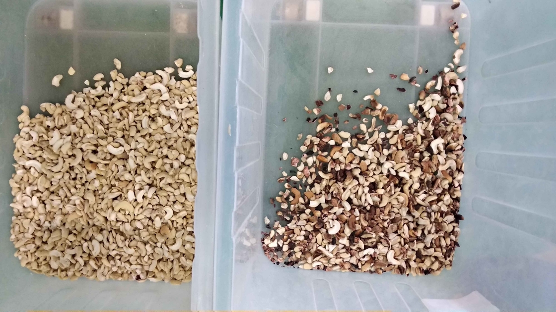Wenyao Intelligent Chute Style Nut Shell and Kernel Separating Machine Μηχανή διαλογής χρώματος καρπού 64 κανάλια