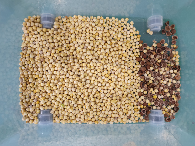 Wenyao Intelligent Chute Style Nut Shell and Kernel Separating Machine Μηχανή διαλογής χρώματος καρπού 64 κανάλια