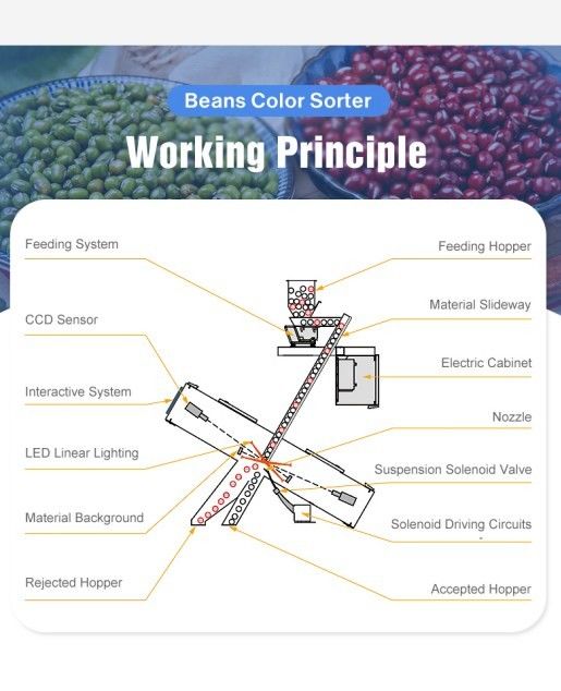 Επεξεργασία Σιτηρών Διαλογέας Χρώματος Ρυζιού Οπτικού Τύπου Σωλήνα