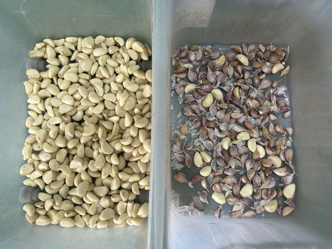 Απλή λειτουργία Ζώνη Χρωματοδιαχωριστής ορυκτού μετάλλου Μηχανήματα Διαλογή χρωμάτων μετάλλου