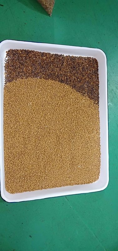 2000Kg/h Περού Κινόα Οπτική Συναρμολογητής Πλήρους Χρώματος CCD Συναρμολογητής Μηχανή Συναρμολόγησης Μηχανή για Αμπελώνες των Άνδεων
