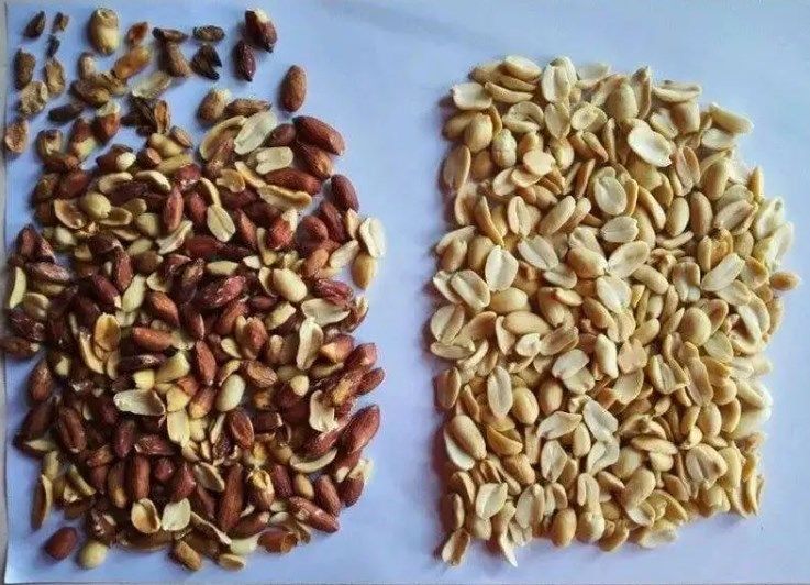 Wenyao πολυ διαλογέας χρώματος καρυδιών αμυγδάλων ταξινομώντας μηχανών χρώματος καμερών χρώματος CCD λειτουργίας πλήρης