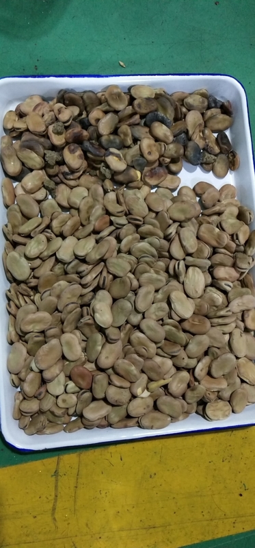 WENYAO 5 Chutes Broad Bean Color Sorter για βιομηχανική χρήση