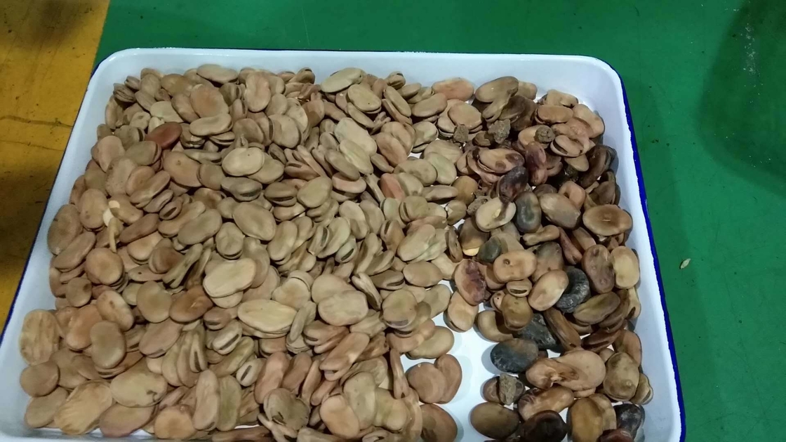 WENYAO 5 Chutes Broad Bean Color Sorter για βιομηχανική χρήση