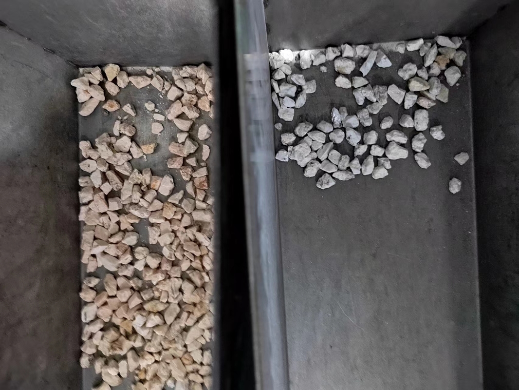 Μηχάνημα Διαλογής Χρώματος με Ιμάντα 1200MM για Σιτηρά Ορυκτών Ρυζιού με Ακρίβεια 99,99%