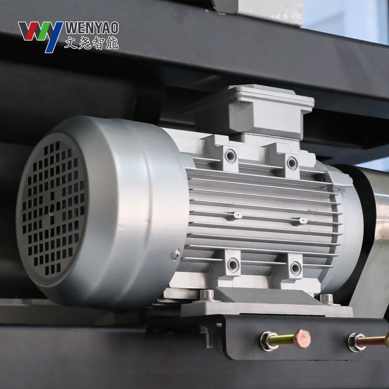 Wenyao Belt Color Sorter with OSRAM LED for Fruits Vegetables