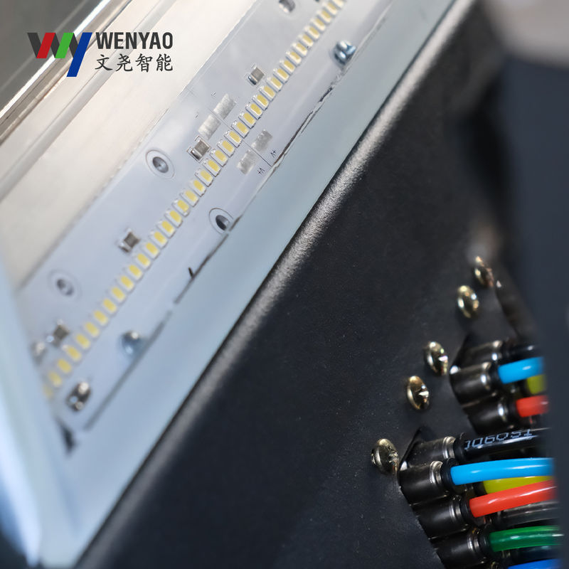 Wenyao Belt Color Sorter with OSRAM LED for Fruits Vegetables