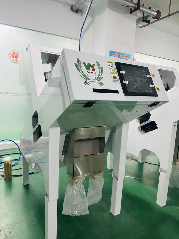 Αυτοματοποιημένη μηχανή διαλογής χρώματος μαύρου πιπεριού Wenyao για διαλογή σπόρων με υψηλή ακρίβεια