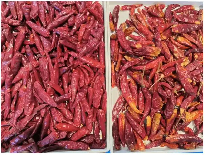 Οπτικό Ευφυές Μηχάνημα Διαλογής Οπτικής Όρασης για Τσίλι, Ορυκτά, Άνθρακα, Καύσιμα, Διαλογητής Χρώματος