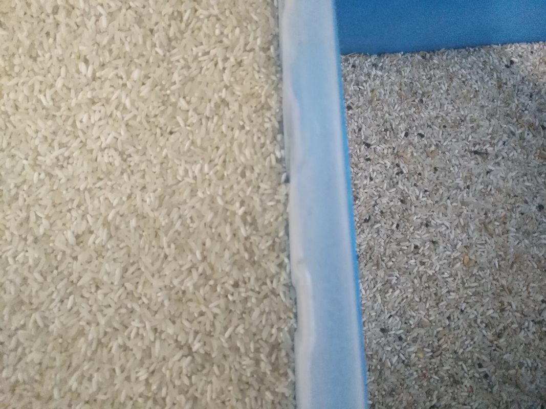 Πολυ ταξινομώντας μηχανή AI σιταριών διαλογέων χρώματος ρυζιού σκοπού CCD αυτόματη