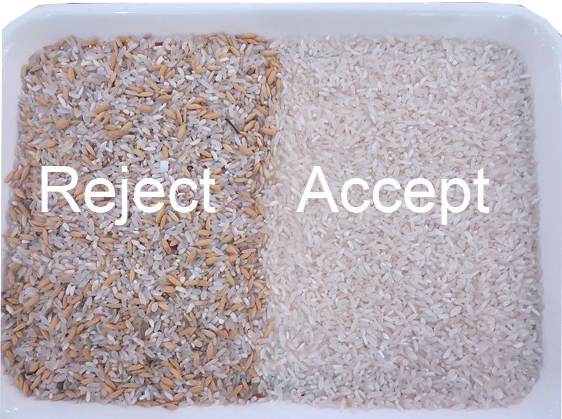 Πολυ ταξινομώντας μηχανή AI σιταριών διαλογέων χρώματος ρυζιού σκοπού CCD αυτόματη