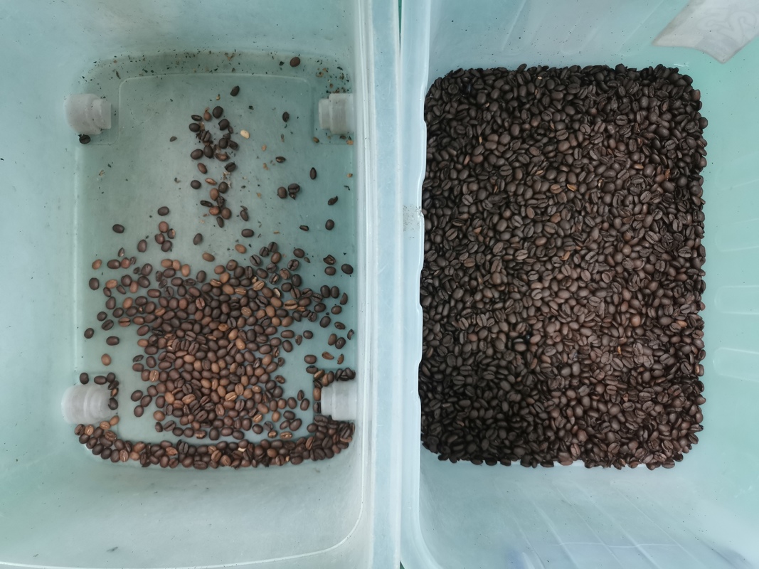 Wenyao 3 Chute 192 Channel White Black Beans Color Sorter Ccd High-precision Full-automatic Nut Rice Corn Wheat Color Sorter