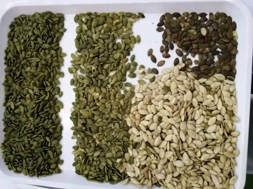 WENYAO Διαλογητής Χρωμάτων Ξηρών Καρπών Υψηλής Ακρίβειας με Κάμερες CCD για Σπόρους, Δημητριακά, Φασόλια, Σιτάρι, Χωρητικότητα 0.3-0.5 PTH και 2 χρόνια Εξυπηρέτηση μετά την πώληση