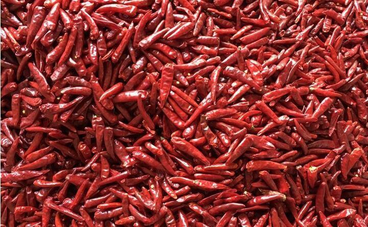 Έξυπνη μηχανή διαλογής χρωμάτων βαρέως τύπου Wenyao με κάμερα RGB CCD για διαλογή πιπεριού τσίλι και σκόρδου και απόδοση 1000-1500 kg/h με τηλεχειριστήριο Wifi