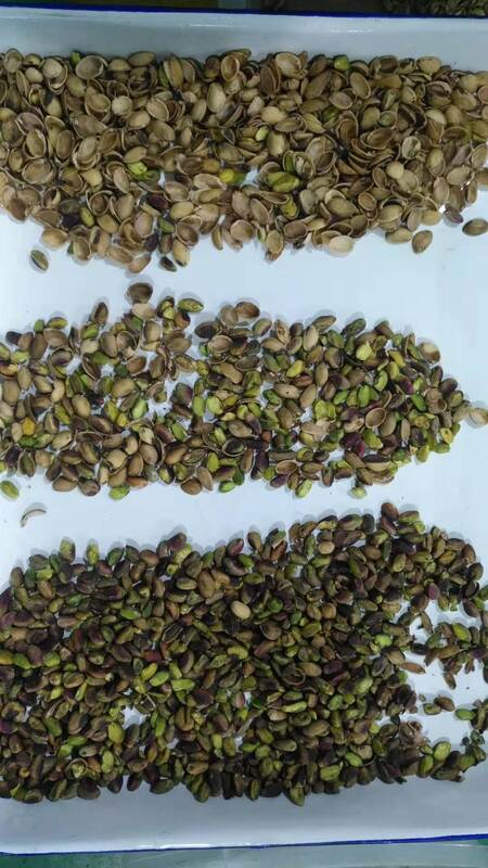 Wenyao Αυτόματος Διαλογέας Ξηρών Καρπών με Αισθητήρα CCD TOSHIBA, Χοάνη από Ανοξείδωτο Χάλυβα 304 κατάλληλη για Τρόφιμα και Τηλεχειριστήριο Wi-Fi για Διαλογή Ξηρών Καρπών Υψηλής Απόδοσης