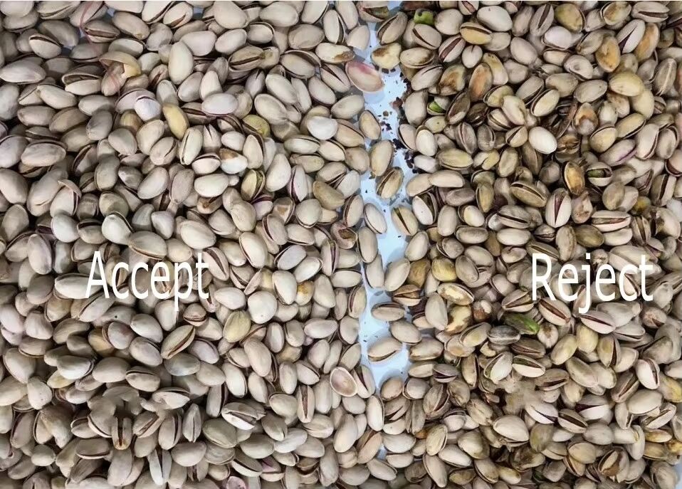 Wenyao Αυτόματος Διαλογέας Ξηρών Καρπών με Αισθητήρα CCD TOSHIBA, Χοάνη από Ανοξείδωτο Χάλυβα 304 κατάλληλη για Τρόφιμα και Τηλεχειριστήριο Wi-Fi για Διαλογή Ξηρών Καρπών Υψηλής Απόδοσης