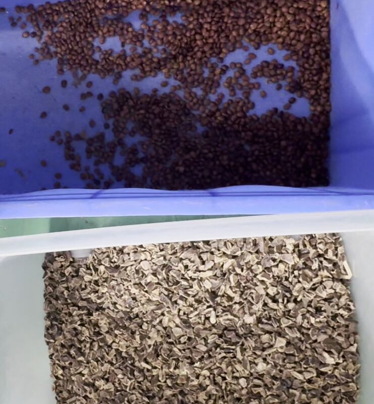 Wenyao 2025 Νέο Έξυπνο Μηχάνημα Διαλογής Χρωμάτων Διπλού Ιμάντα Υψηλής Ακρίβειας για Σαπούνια σε Μορφή Pod με Τηλεχειριστήριο WIFI